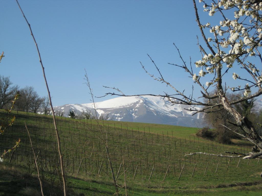Agriturismo Spa Serpanera Sarnano Kültér fotó